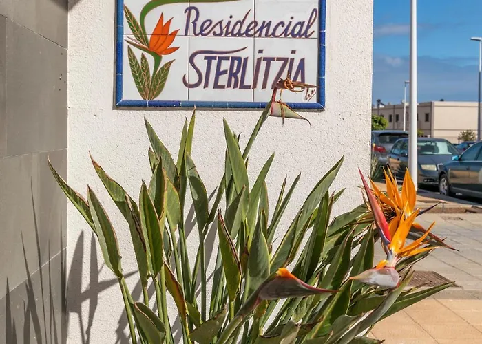 Medano4you Strelitzia Penthouse Appartement El Médano